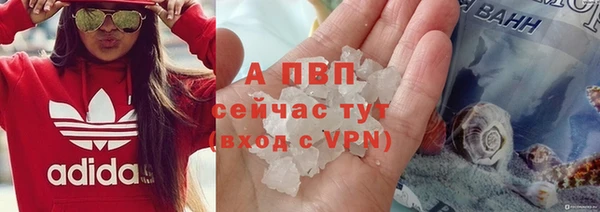 СК Балахна