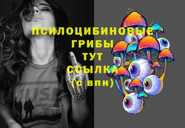 СК Балахна